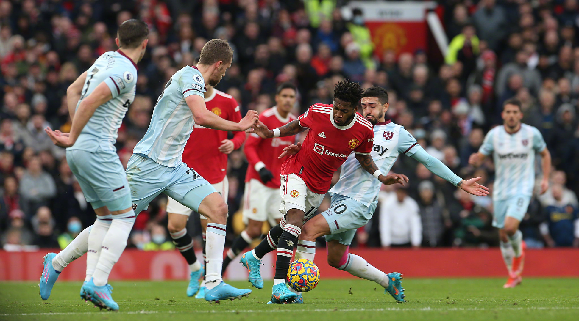 青岛海牛的 青岛海牛的